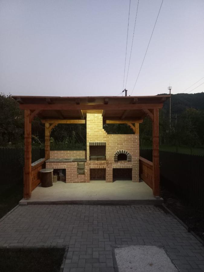 Casa Edy Villa Vişeu de Sus Exterior foto